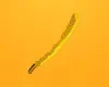 Fortnite - Anime Legends Pack (DLC) (PS4) PSN Key - EU