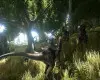 ARK: Survival Evolved (Xbox One / Xbox Series X|S) Xbox Live Key - EU