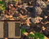 Patron (PC) Steam Key - GLOBAL