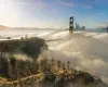 Watch Dogs 2 (PC) Ubisoft Connect Key - EU