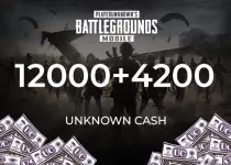 PUBG Mobile 12000 + 4200 UC (Unknown Cash) Direct Top-Up - GLOBAL