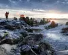 Battlefield 1 Revolution & Battlefield 1943 Bundle (Xbox One / Xbox Series X|S) Xbox Live Key - GLOBAL