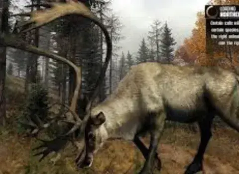 Cabela's Big Game Hunter Pro Hunts (PC) Steam key - GLOBAL