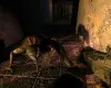 S.T.A.L.K.E.R.: Shadow of Chernobyl (PC) Steam Key - GLOBAL