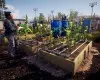 State of Decay 2: Juggernaut Edition (Xbox One / Xbox Series X|S) Xbox Live Key - EU