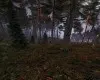 DayZ (Xbox One / Xbox Series X|S) Xbox Live Key - EU