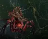 Total War: Warhammer II - Catchweb Spidershrine (DLC) (PC) Epic Games Key - GLOBAL