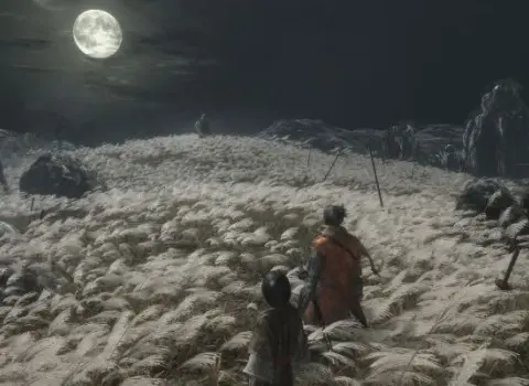 Sekiro: Shadows Die Twice GOTY Edition (Xbox One / Xbox Series X|S) Xbox Live Key - TURKEY