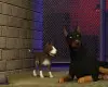 The Sims 3: Pets (DLC) (PC) EA App Key - GLOBAL
