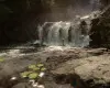 Sons Of The Forest (PC) Steam Key - GLOBAL