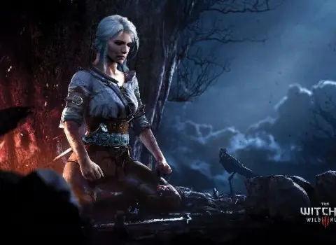 The Witcher 3: Wild Hunt (PC) GOG.com Key - GLOBAL